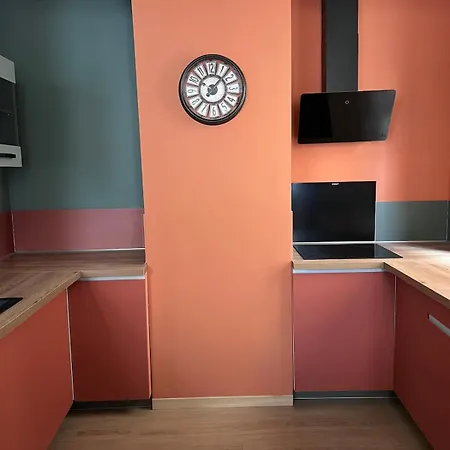 Patrimoine Albigeois 36 Hdv Duplex *