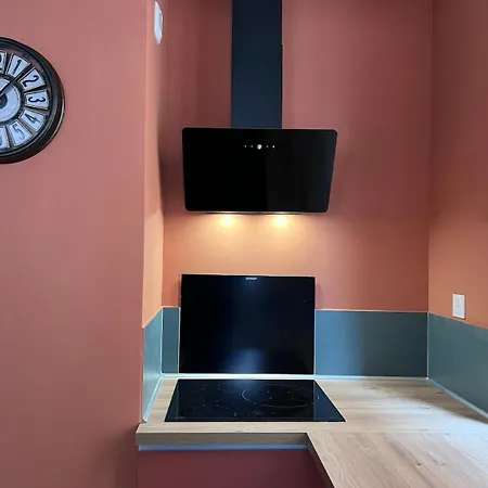 Patrimoine Albigeois 36 Hdv Duplex Альби