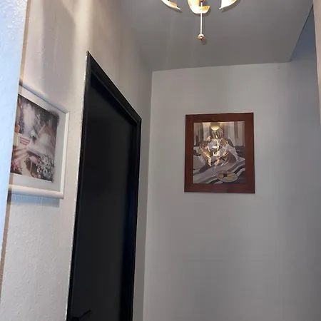 Patrimoine Albigeois 36 Hdv Duplex Альби