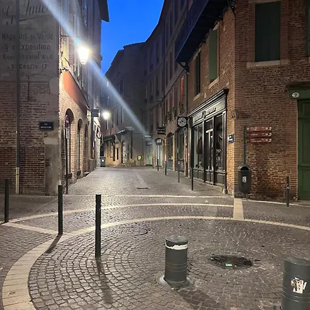 Patrimoine Albigeois 36 Hdv Duplex Альби