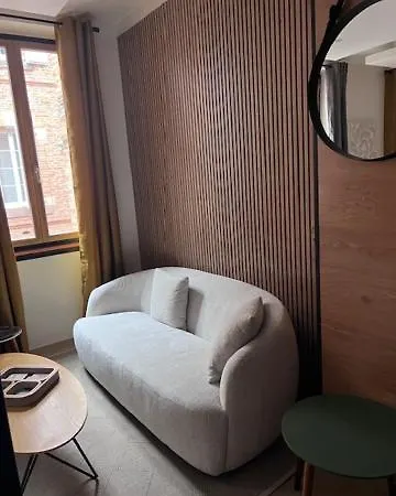 Patrimoine Albigeois 36 Hdv Duplex Апартаменты