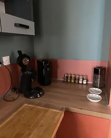 Patrimoine Albigeois 36 Hdv Duplex Апартаменты