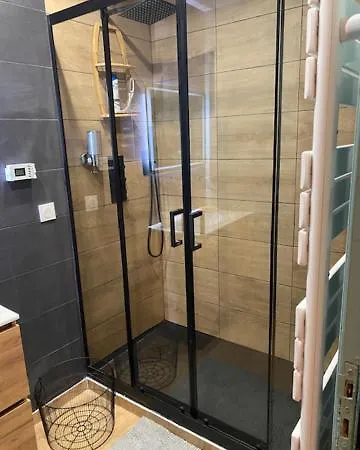 דירה Patrimoine Albigeois 36 Hdv Duplex אלבי