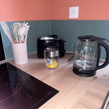 Patrimoine Albigeois 36 Hdv Duplex Apartamento Albi